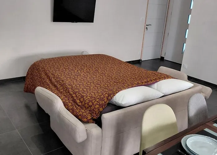 Du Champ Aise * Montaigu-Vendee